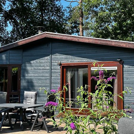 Dubbele Chalet Op Recreatiepark Topparken Op De Veluwe In Beekbergen Met Grote Vrije Tuin En Eigen Parkeerplaats 外观 照片